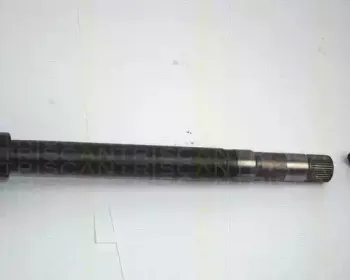 triscan-854028606