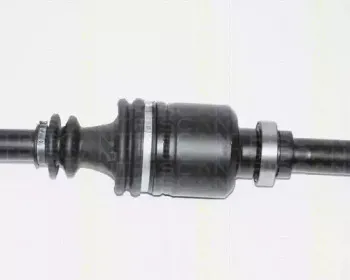 triscan-854028606