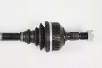 triscan-854028607
