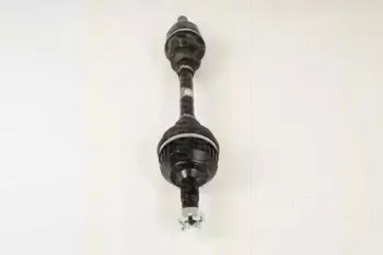 triscan-854028607
