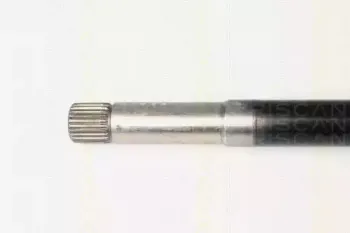 triscan-854028608