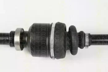 triscan-854028608