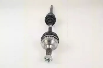 triscan-854028608