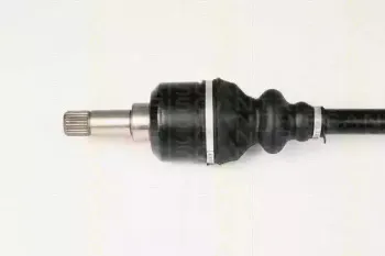 triscan-854028612