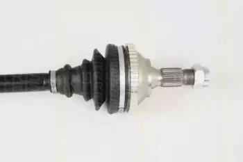 triscan-854028612