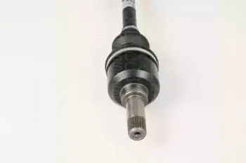 triscan-854028612