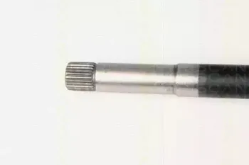 triscan-854028613