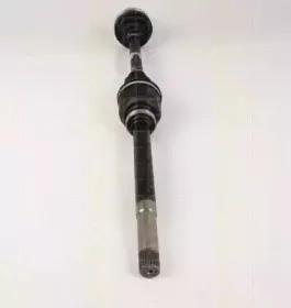 triscan-854028613