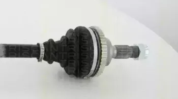 triscan-854028614
