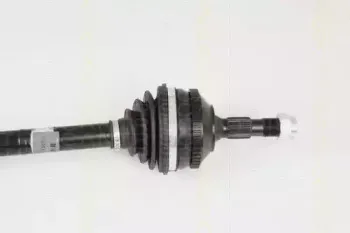 triscan-854028614