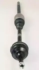 triscan-854028614
