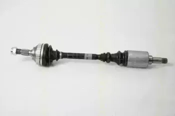 triscan-854028621