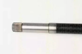 triscan-854028624