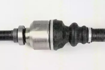 triscan-854028624
