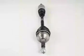 triscan-854028627