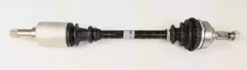 triscan-854028629