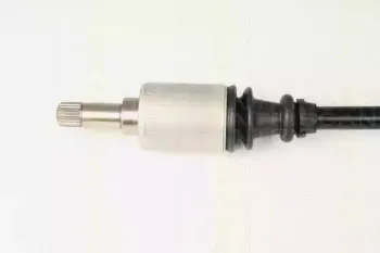 triscan-854028629