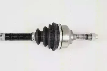 triscan-854028629