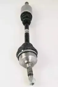 triscan-854028629