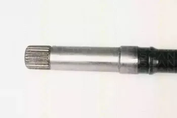 triscan-854028630