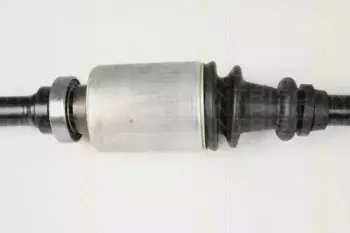 triscan-854028630