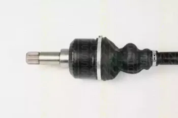 triscan-854028631
