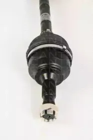 triscan-854028631