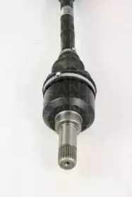 triscan-854028631
