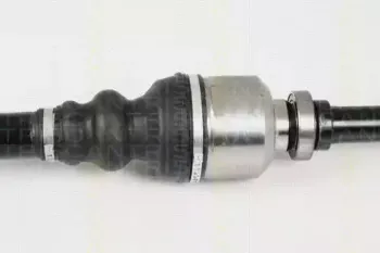 triscan-854028632