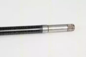 triscan-854028632