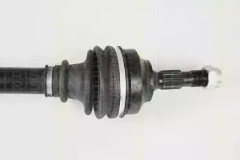 triscan-854028633