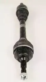 triscan-854028633