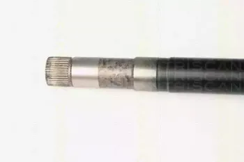triscan-854028635