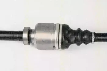 triscan-854028635