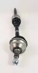 triscan-854028635