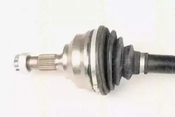 triscan-854028638