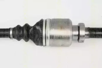 triscan-854028638