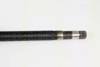 triscan-854028638