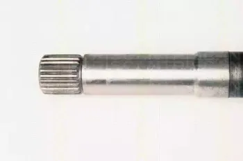 triscan-854028639