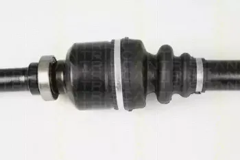 triscan-854028639