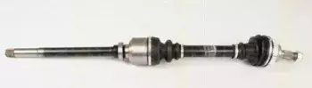 triscan-854028641