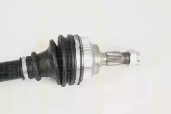 triscan-854028641