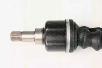 triscan-854028643