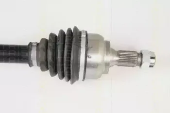 triscan-854028643