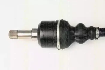 triscan-854028645