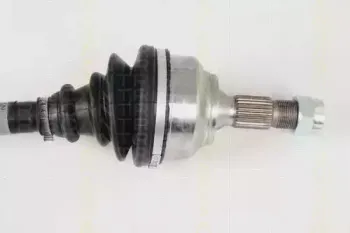 triscan-854028645