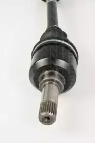 triscan-854028645