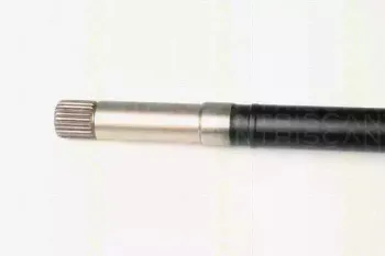 triscan-854028646