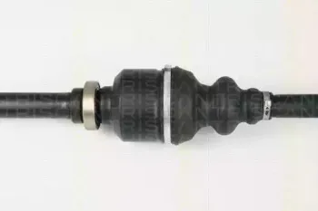 triscan-854028646