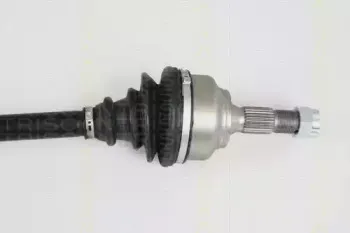 triscan-854028646